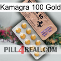 Kamagra 100 Gold 41